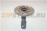 BRUC. ALL. X STAR AX.