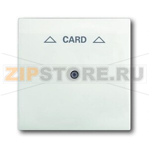 Накладка для карточного выключателя ABB 2CKA001753A0190 