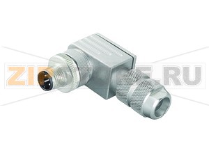 Полевой разъём Field-attachable male connector V15S-W-ABG-PG9 Pepperl+Fuchs Описание оборудования4-pin, M12, screened cable connector, field attachable