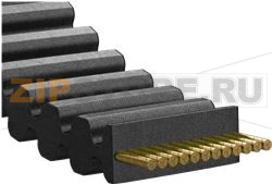 BELT NEOPRENE 700DH075 