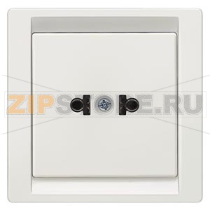 DELTA STYLE ТИТАНОВО-БЕЛЫЙ РОЗЕТКА US-STANDARD С73 15А 125В Siemens 5UB1368 