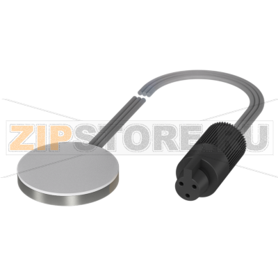 Головка сенсорная емкостная для последовательно включенных усилителей Balluff BCS001A 