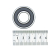 Подшипник 6203 2RS Fimar 12/TS - Подшипник 6203 2RS Fimar 12/TS