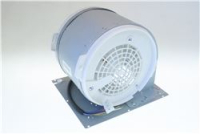 Fan motor