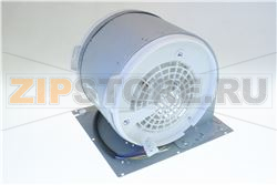 Fan motor 