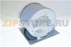 Fan motor 
