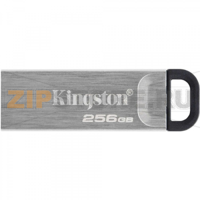 Накопитель USB 256 Гб Kingston DTKN/256GB 