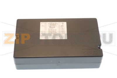 BRAIN LILY EE VERSION 