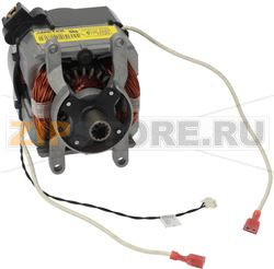 BLENDER MOTOR SERVICE KIT, AMETEK, 
