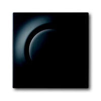 Клавиша для светорегулятора, чёрный бархат ABB 2CKA006599A2976