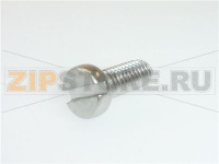 VITE A TESTA CILINDRICA M4x10