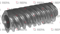 4-THREADED WORM REGINA