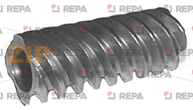 4-THREADED WORM REGINA 