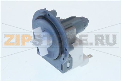 PUMP 230V 30W ROTOR+REWINDER 