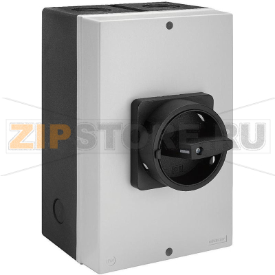 Переключатель кулачковый 100 А, 1x90°, 1 шт Sälzer H410-41300-730M1 