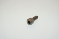 VITE TCCE INOX 8X20