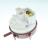 PRESSOSTAT - PRESSOSTAT