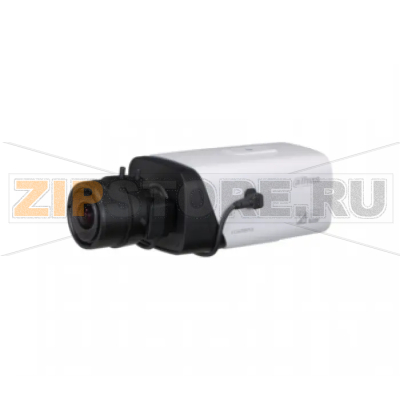 IP-камера Dahua DH-IPC-HF81230EP-E 