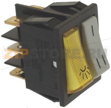 DOUBLE BIPOLAR SWITCH 