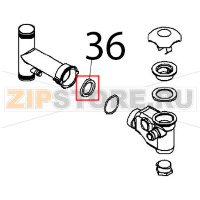 Guarnizione sifone Angelo Po FX101G2