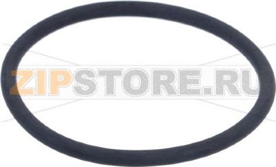 GASKET FOR DRAIN SIPHON 