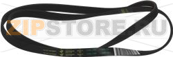 BELT 1248 J5 EL 