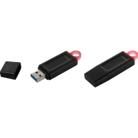 Накопитель USB 256 Гб, Type-A Kingston DTX-256GB