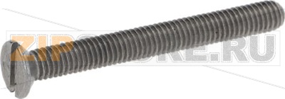 VITE SVASA A TAGLIO INOX 