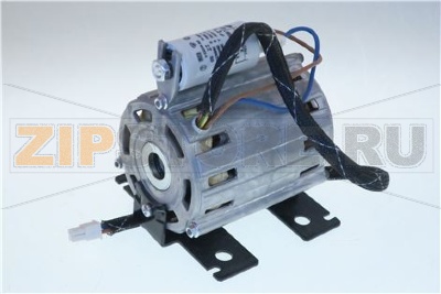 MOTOR 23OV 5O 6OCY FOR PUMP 1O BAR 