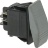 СЕРЫЙ ДВУХПОЛЮСНЫЙ ПЕРЕКЛЮЧАТЕЛЬ, 10 А, 250 В - СЕРЫЙ ДВУХПОЛЮСНЫЙ ПЕРЕКЛЮЧАТЕЛЬ, 10 А, 250 В
