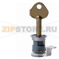 FTO2006-B1 - Ключ доступа (Nordic) Siemens FTO2006-B1