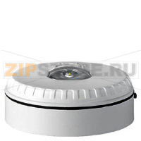 SOL-LX-W-WW - Световой оповещатель в белом корпусе и белым индикатором, для монтажа на стену Siemens SOL-LX-W-WW