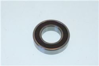CUSCINETTO RIV 6005 2RS1