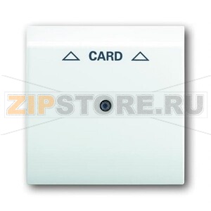 Накладка для карточного выключателя ABB 2CKA001753A6703 