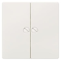 DELTA I-SYSTEM ТИТАНОВЫЙ МЕТАЛЛИК ВЫКЛЮЧАТЕЛЬ 2 КЛАВИШИ ФИКСИРОВАННЫЕ ВИНТАМИ 55X55MM Siemens 5TG6265