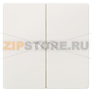 DELTA I-SYSTEM ТИТАНОВЫЙ МЕТАЛЛИК ВЫКЛЮЧАТЕЛЬ 2 КЛАВИШИ ФИКСИРОВАННЫЕ ВИНТАМИ 55X55MM Siemens 5TG6265 