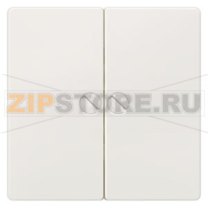DELTA I-SYSTEM ТИТАНОВЫЙ МЕТАЛЛИК ВЫКЛЮЧАТЕЛЬ 2 КЛАВИШИ ФИКСИРОВАННЫЕ ВИНТАМИ 55X55MM Siemens 5TG6265 