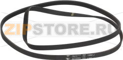 BELT HUTCHINSON 1260 J4 