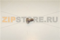 VITE INOX    PARAFETTA 300:385