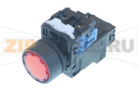 INTERR. FUJI AR 22F5L   10Q4R   ROSSO