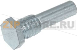 Hinge Pin M/S BZP G2 Models 