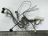 Cable assy UB1 NCR GBNA