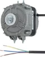 MOTEUR TEDDINGTON TFM 16W