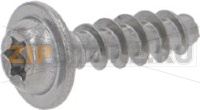 SCREW TCBR TORX 10 3,5X12 PLAST.SS