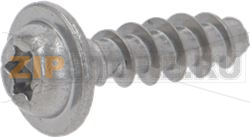 SCREW TCBR TORX 10 3,5X12 PLAST.SS 