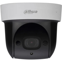 IP-камера Dahua DH-SD29204UE-GN