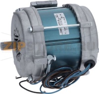 MOTOR GCP-350  230/50/1