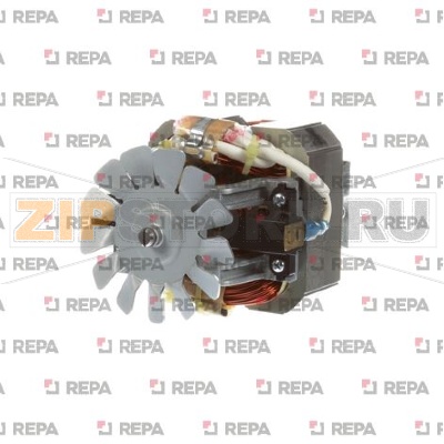 MOTOR (120V ONLY) 