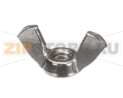 WINGNUT 1/4-20 SS F 
