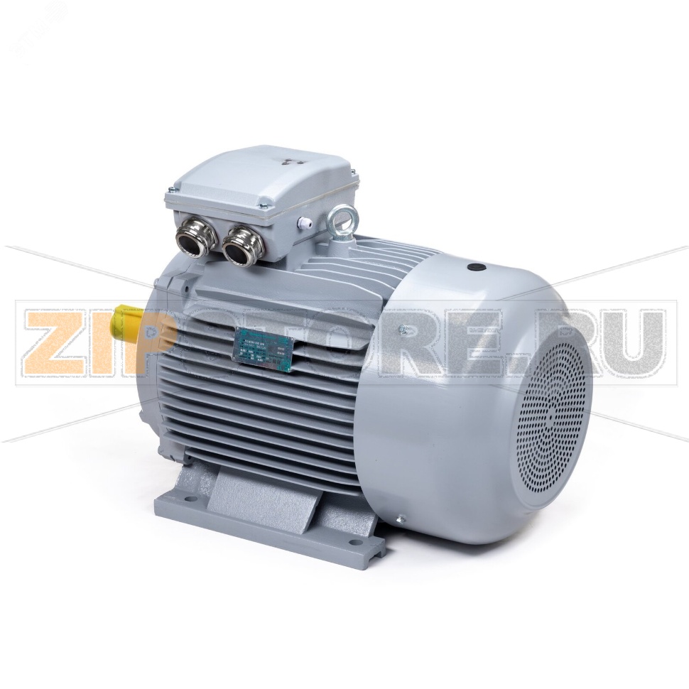 Электродвигатель 18.5 кВт, 380/660 В, 1500 об/мин, IP55 ESQ 01.05.02.000091 